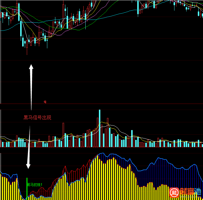 黑马初现源码附图