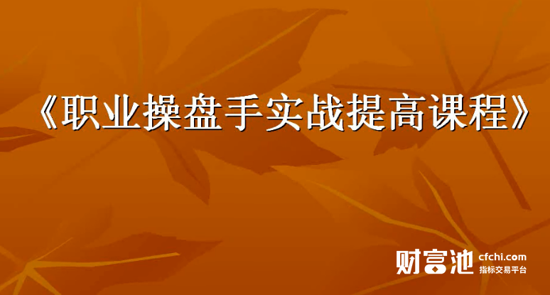 鲁致远职业操盘手实战中揭秘超级吸金术高清视频
