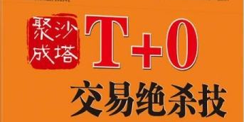 给那些有一天想在股市中操作分时T+0(低买高卖)的人