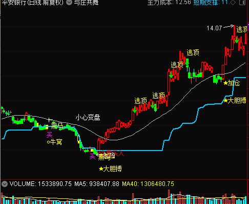 与庄共舞 主图指标 买卖提示 无加密 无未来函数 无引用dll 顶底提示 老鼠仓
