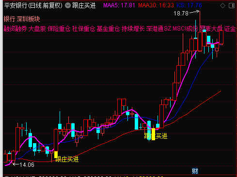 跟庄买进 无加密 无未来函数 无引用dll