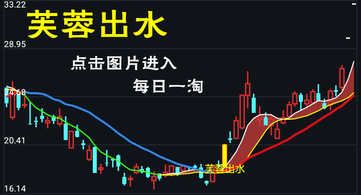 芙蓉出水，选股新星！翔博通达信指标，扭转乾坤，成功案例引领你走向股市巅峰！