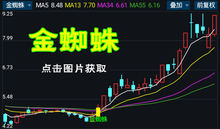 【市场捕捉者】金蜘蛛主图选股指标公式（手机+电脑版）- 智能精准，编织财富捕捉网，擒获市场脉搏！