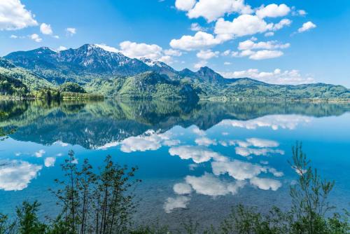 「翔博精选指标」超级短线－－-秒杀公式，高胜率高盈利率