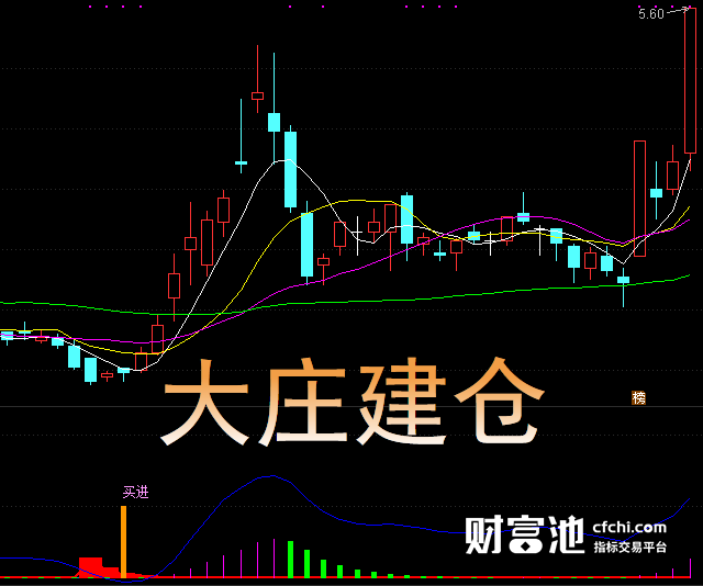 【庄家的秘密武器现归您】翔博软件破解大庄建仓之谜：逆袭股海，散户变身市场掌控者！