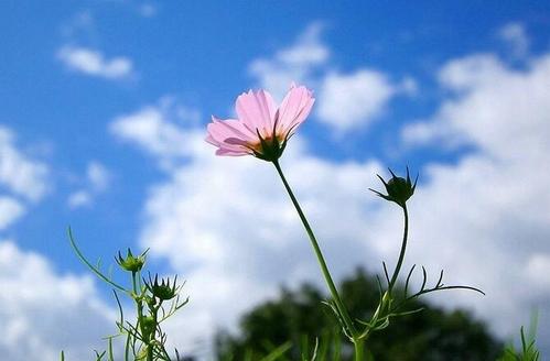 「翔博精选指标」波段操盘手,经典公式（通达信公式 主图 源码 测试图）