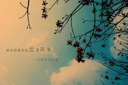 「翔博精选指标」趋势成本，多空红绿彩带主图（通达信公式 副图 源码 测试图）