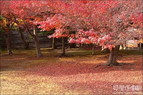 「翔博精选指标」波段星改编（通达信公式 副图 选股 源码 测试图）