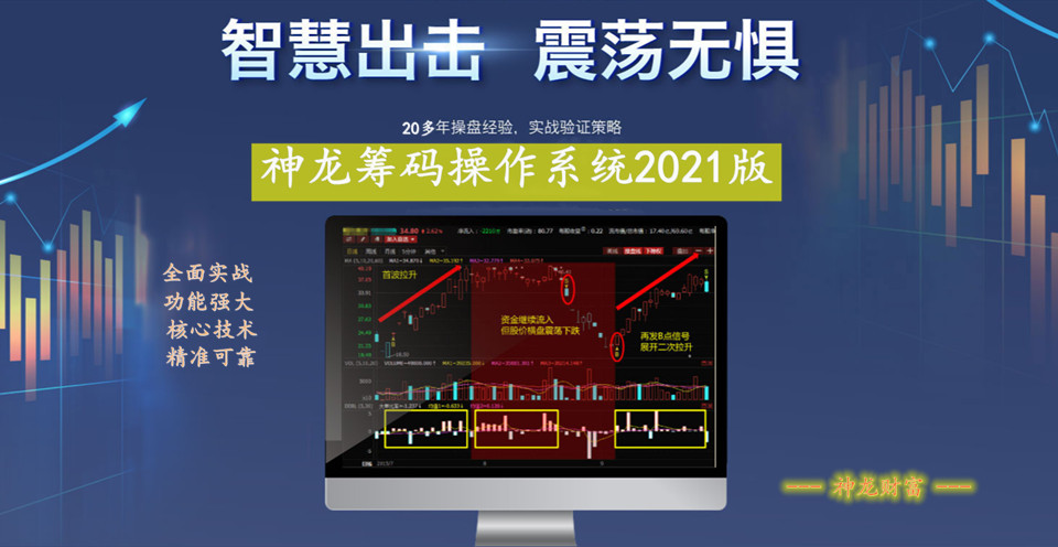 神龙筹码操作系统2021版 功能强大 精准买卖点 资金倍增工具 投资必备 全面系统决策
