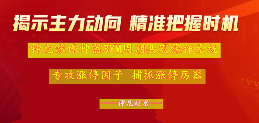 神龙涨停神器 专攻涨停 周期共震 狙击涨停 提前抓搏涨停 