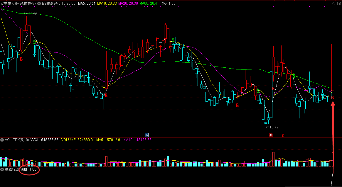 大师精华最新精华满回塘之国华又出山了，猎鹰又行动了。分享猎鹰行动指标，通达信选股器[通达信] 