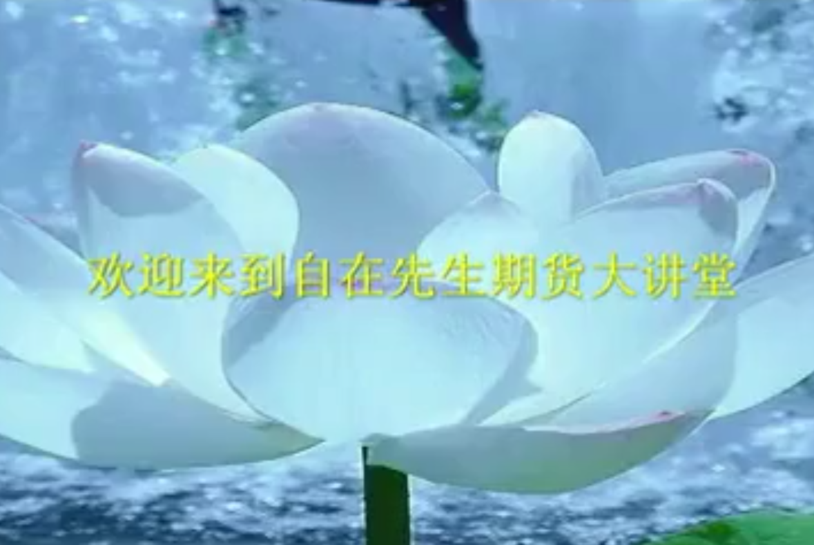  【期货讲座】自在先生 期货大讲堂-期货之道  （14个视频）