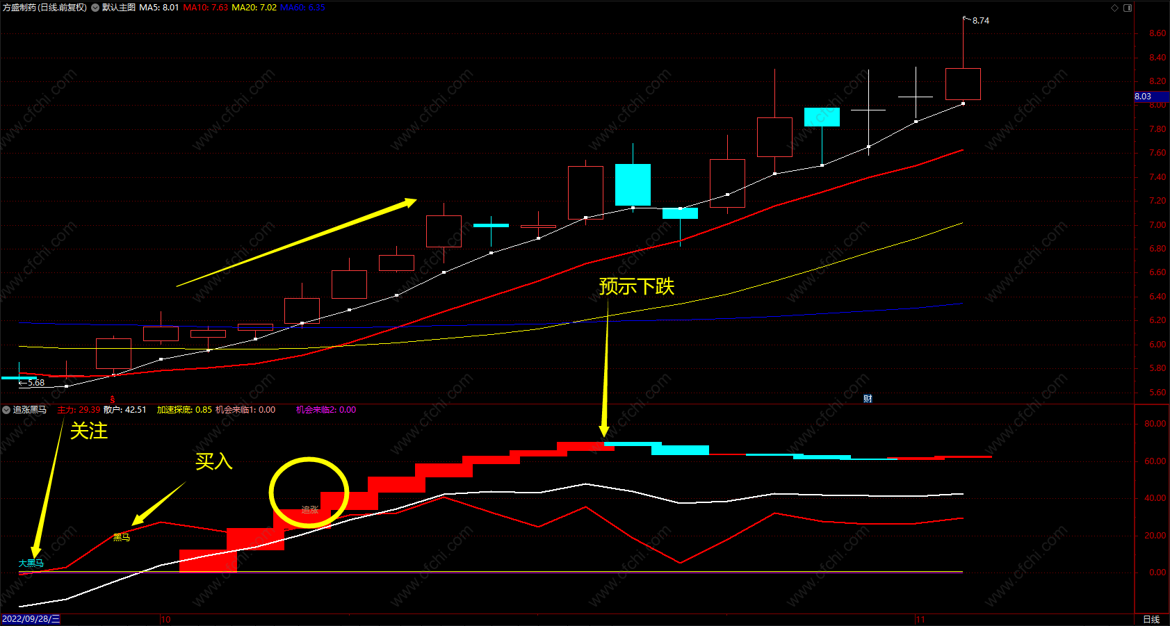 追涨黑马趋势线 通达信主力筹码追踪指标公式 副图 无未来 源码