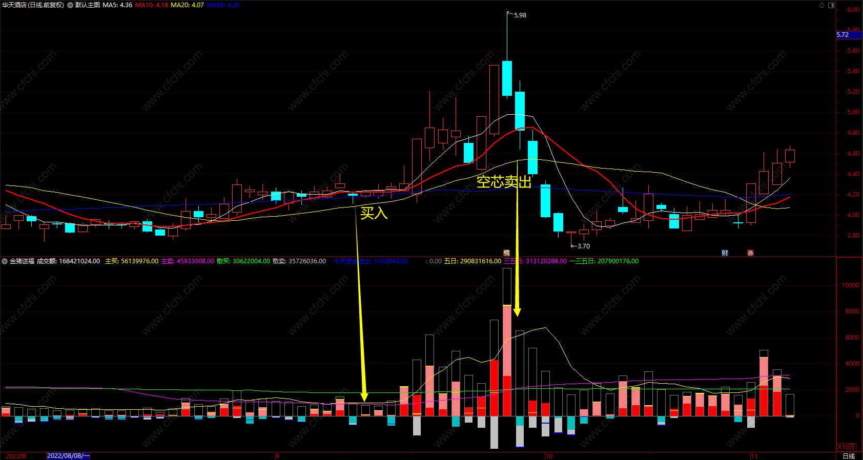 资金进出金猪送福指标 通达信高量柱买卖副图指标源码 无未来 源码