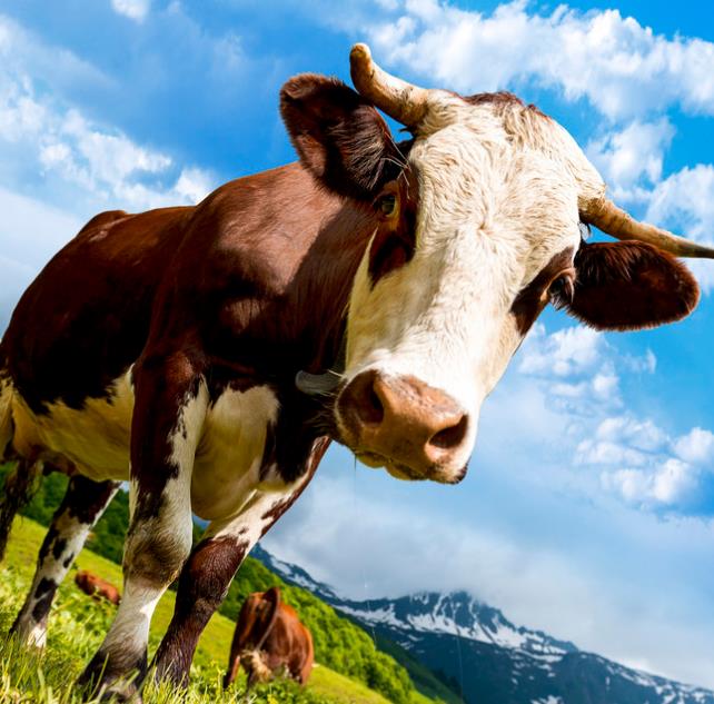 2023我是赢家【庄家资金启爆点】趋势赢家，波段，起爆庄家，主力，风口