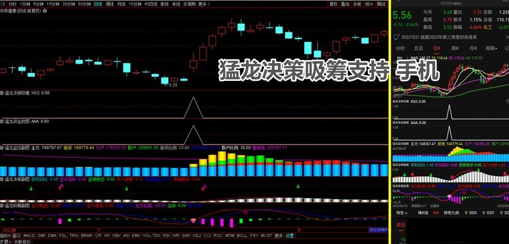 通达信【猛龙决策吸筹】套装指标 图解说明