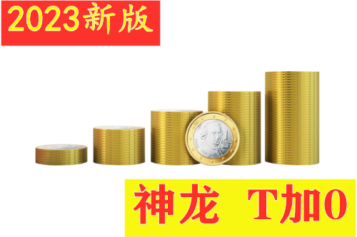 【2023新版】神龙T加0之王 分时AB版操作系统 债券 期货 黄金 股票 全覆盖