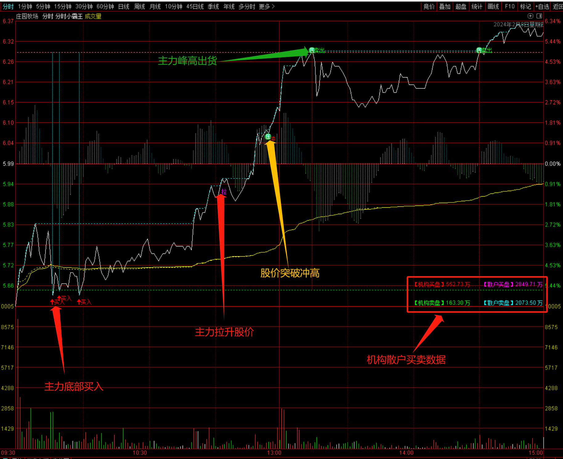 通达信分时买卖T+0操盘精英【分时小霸王】日内做T操盘
