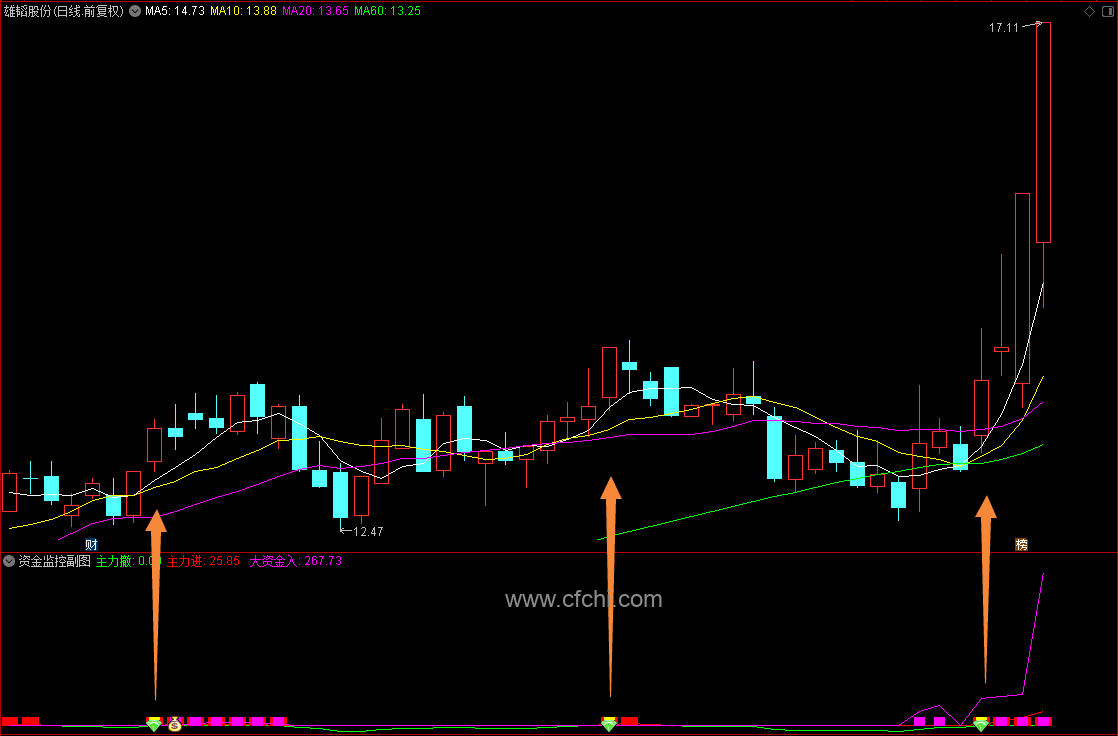 【资金监控】通达信资金监控副图选股指标，源码