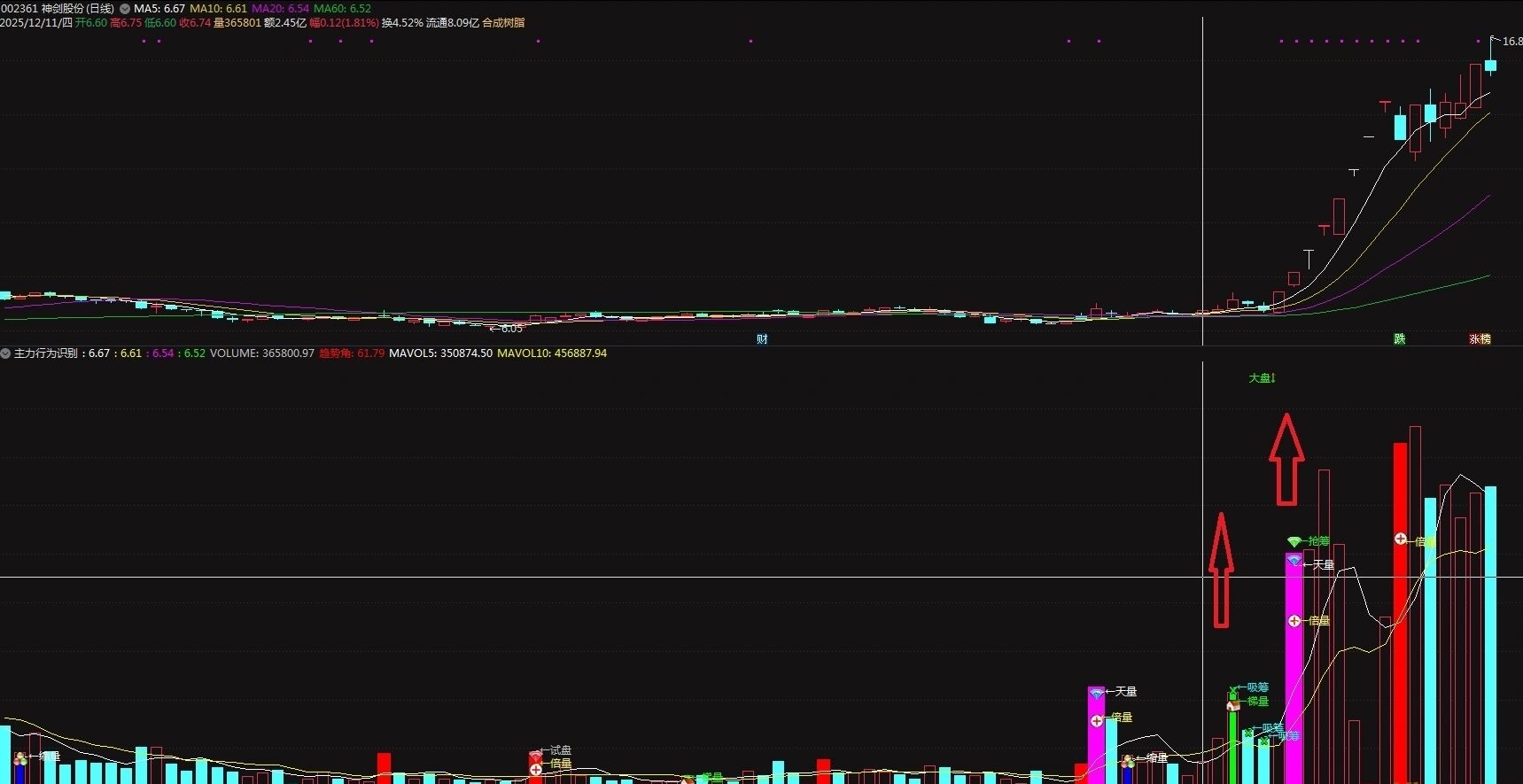 倍量怎么去参与，通达信主力行为识别副图指标，带你看清主力手法！源码
