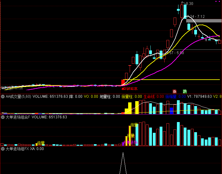 通达信 大单进场组合 副图 选股 指标 监控主力资金动向