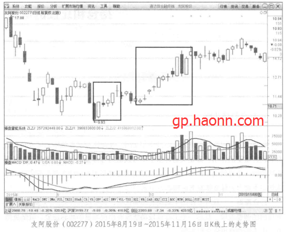持仓和止损的法则