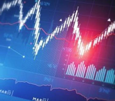 新手炒股怎么选股