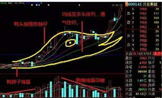老鸭头选股公式源码