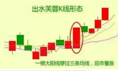 出水芙蓉选股公式