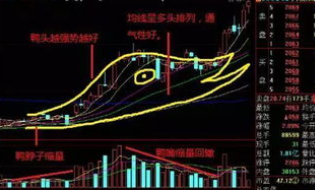 k线老鸭头的形态图解