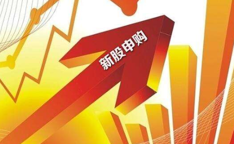 新股中签率