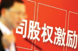 上市公司股权激励