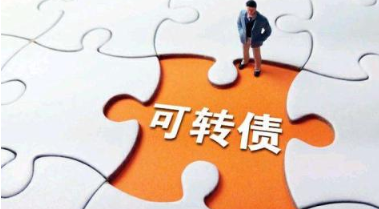 发行可转换公司债券