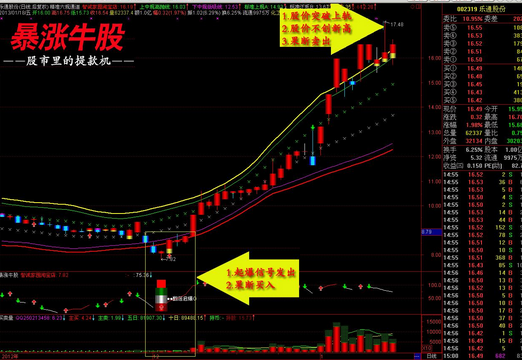 暴涨牛股指标