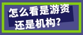 怎么看是游资还是机构？