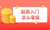 股票入门怎么看盘