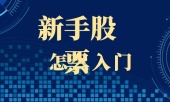 新手怎么炒股入门？