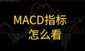 MACD指标怎么看？