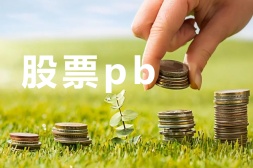 股票pb