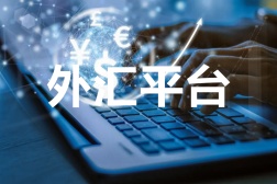 外汇平台