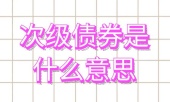 次级债券是什么意思