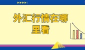 外汇行情在哪里看