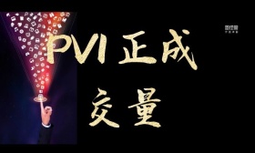 PVI 正成交量