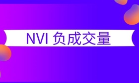 NVI 负成交量
