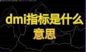 dmi指标是什么意思