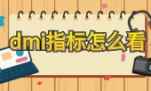 dmi指标怎么看