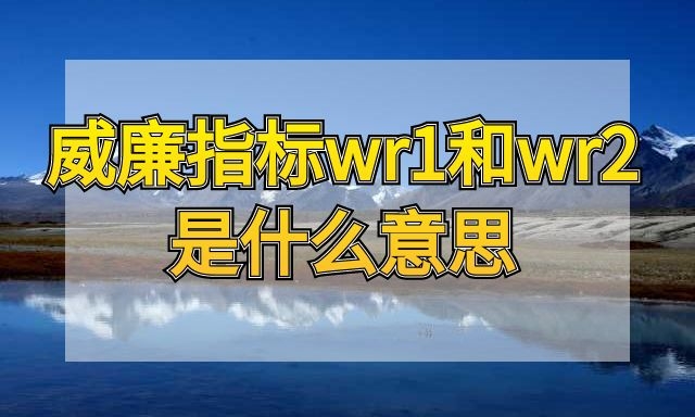 威廉指标wr1和wr2是什么意思