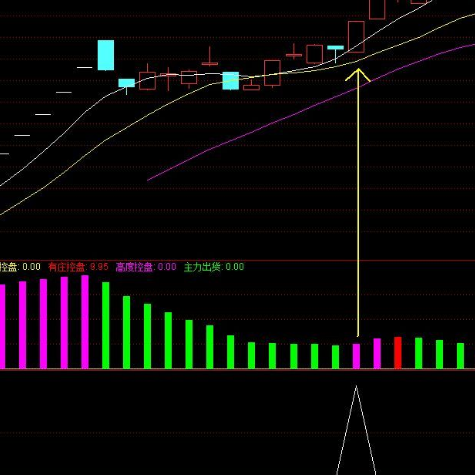 庄家抬轿指标公式通达信