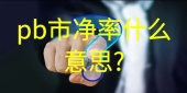 pb市净率什么意思?