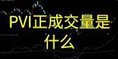 PVI正成交量是什么